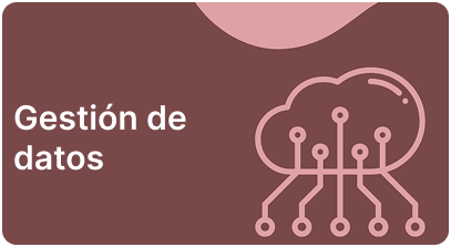 Data Management Category Image