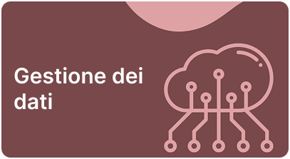 Data Management Category Image